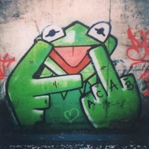 Meet your Posher, Curt